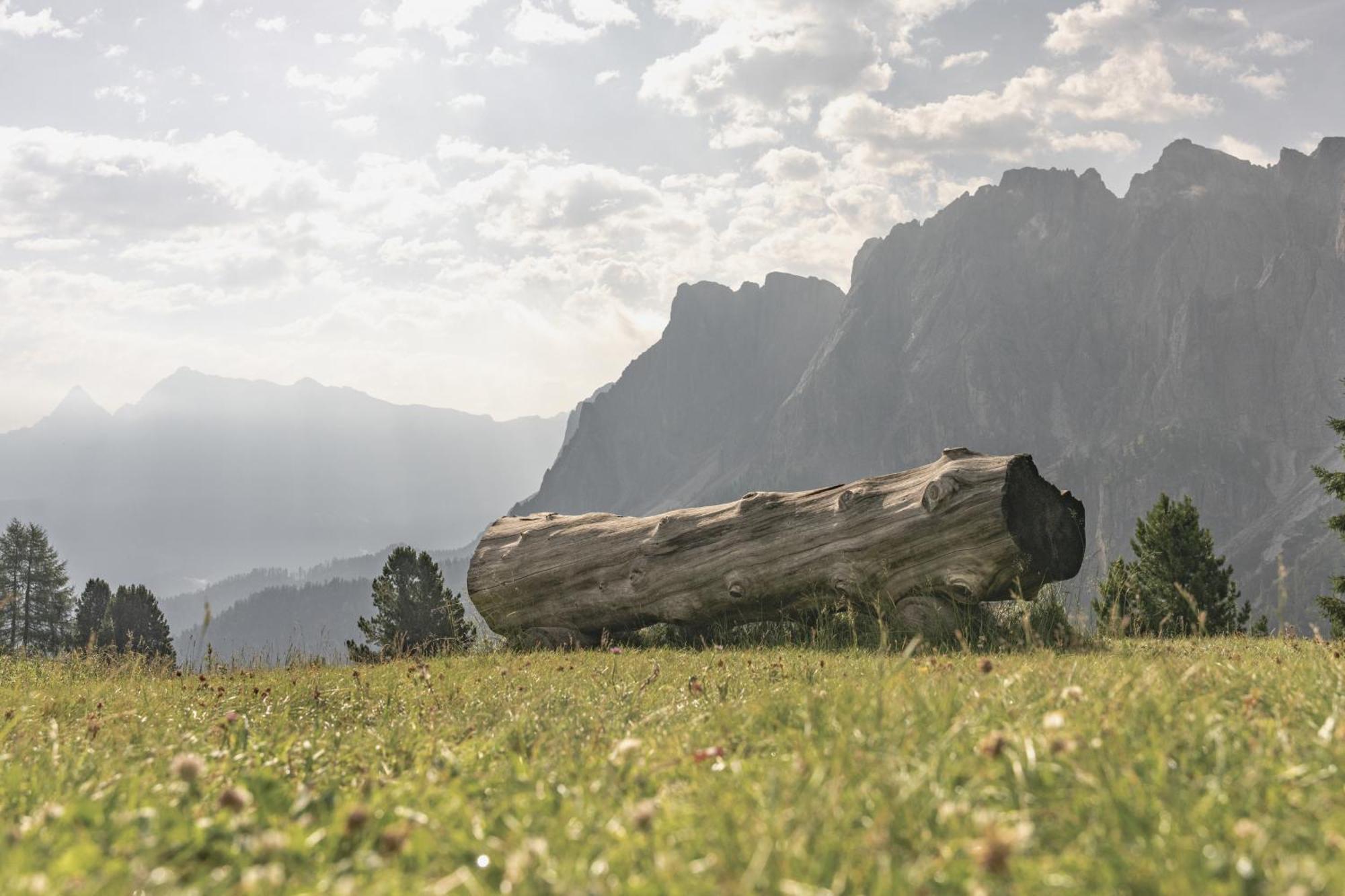 Апартаменти Ciasa Iachin - Dolomites Dream Retreat Сан-Мартіно-ін-Бадія Екстер'єр фото