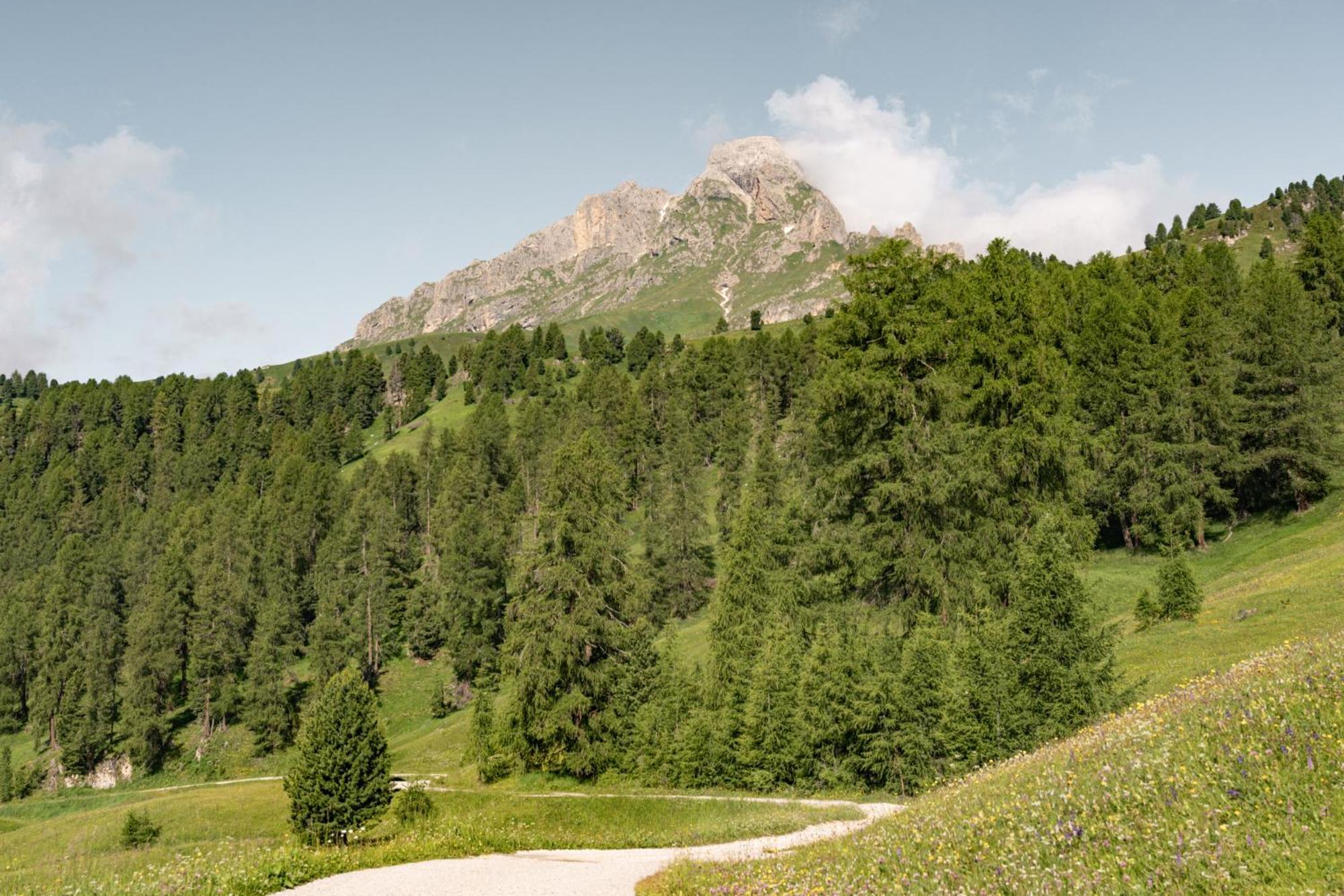Апартаменти Ciasa Iachin - Dolomites Dream Retreat Сан-Мартіно-ін-Бадія Екстер'єр фото
