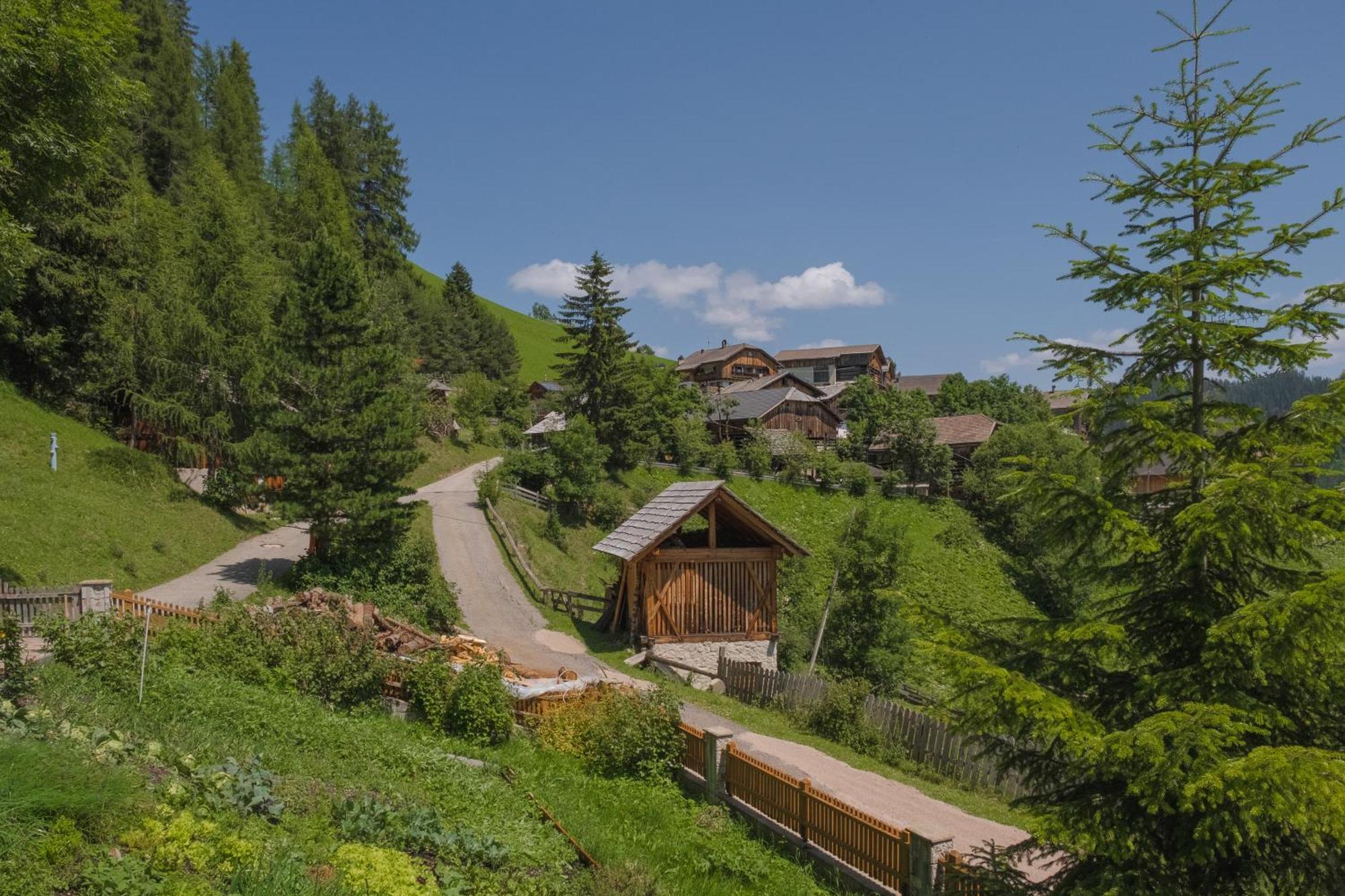 Апартаменти Ciasa Iachin - Dolomites Dream Retreat Сан-Мартіно-ін-Бадія Екстер'єр фото