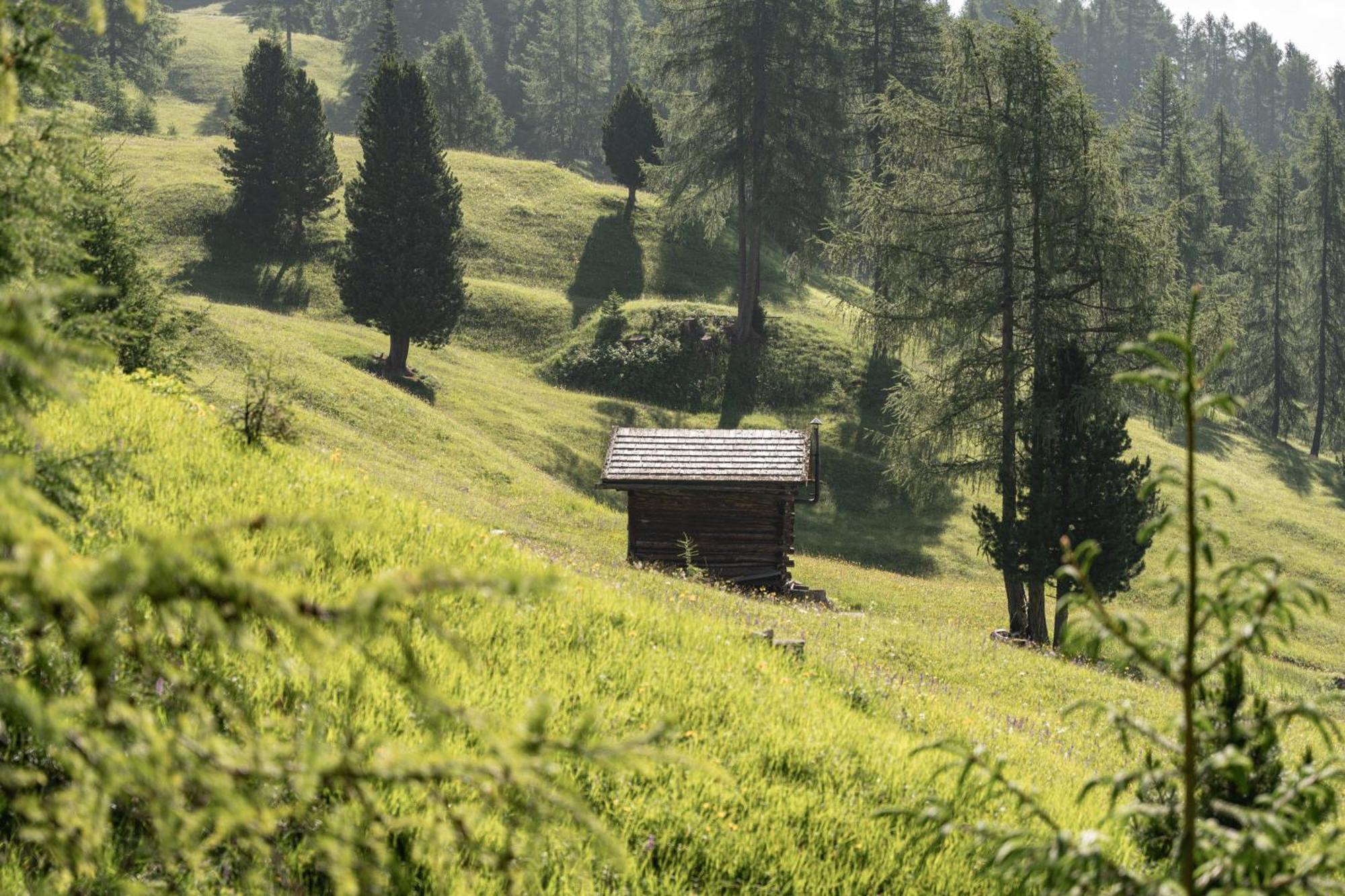 Апартаменти Ciasa Iachin - Dolomites Dream Retreat Сан-Мартіно-ін-Бадія Екстер'єр фото