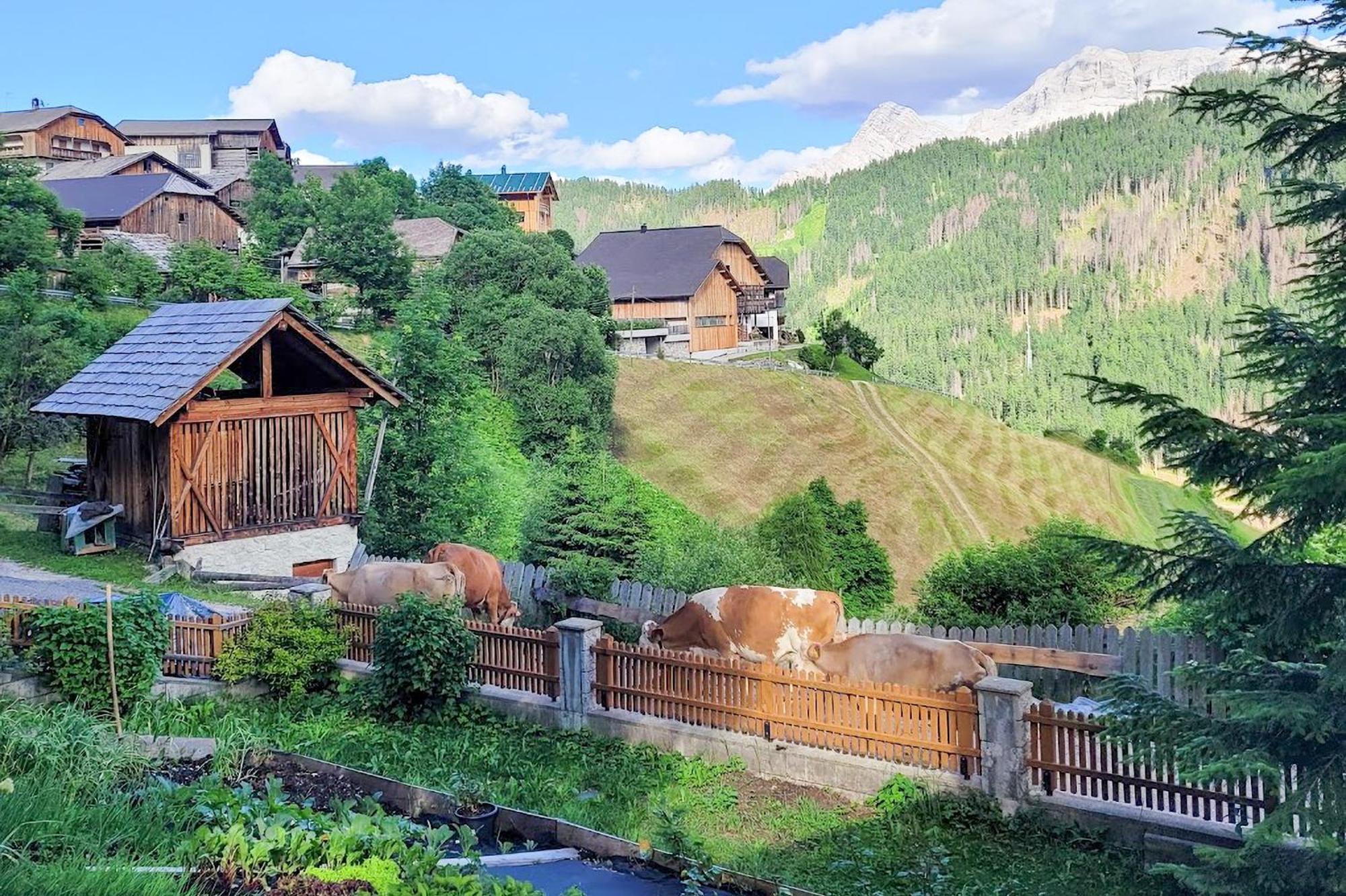 Апартаменти Ciasa Iachin - Dolomites Dream Retreat Сан-Мартіно-ін-Бадія Екстер'єр фото