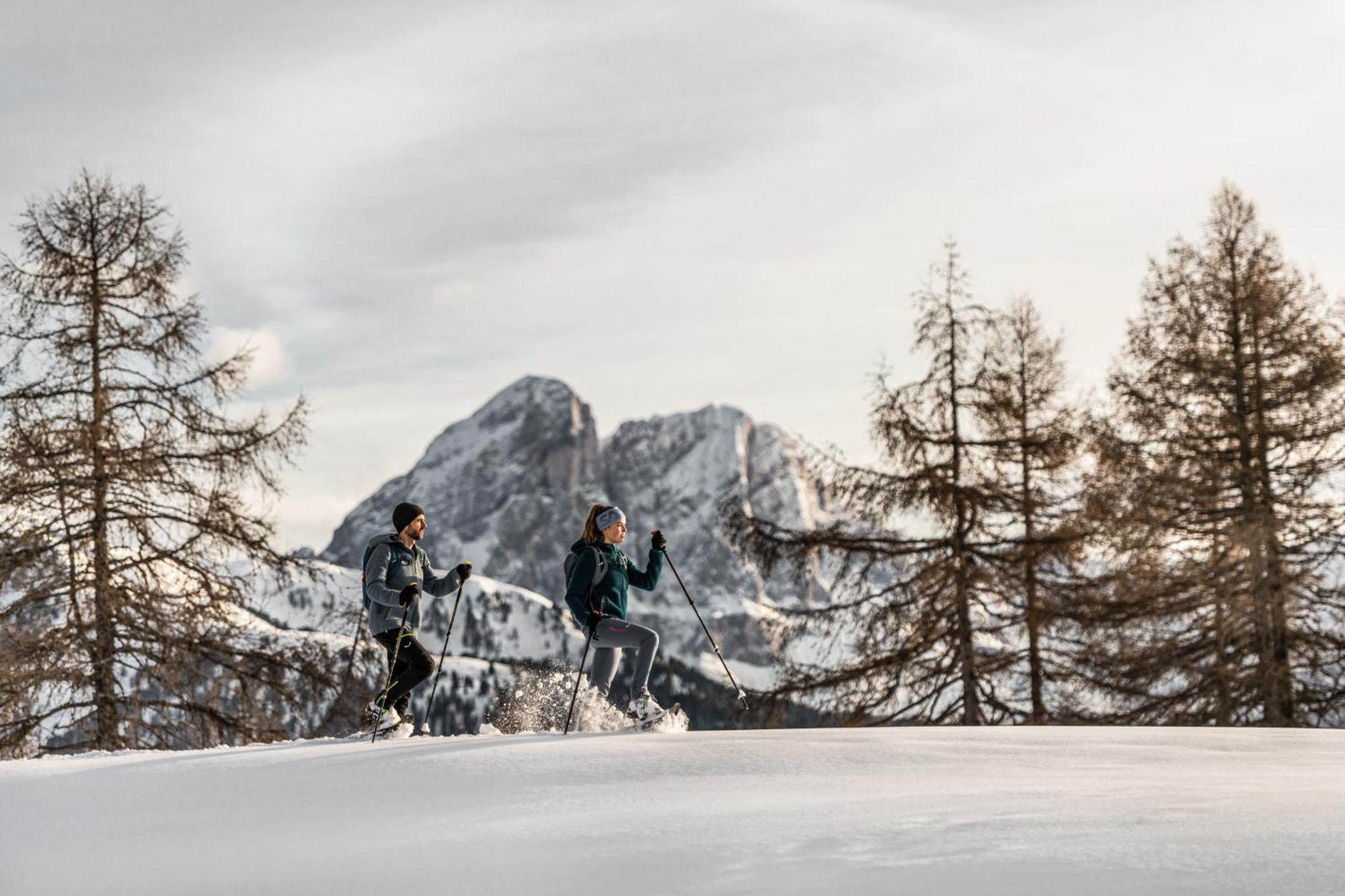 Апартаменти Ciasa Iachin - Dolomites Dream Retreat Сан-Мартіно-ін-Бадія Екстер'єр фото