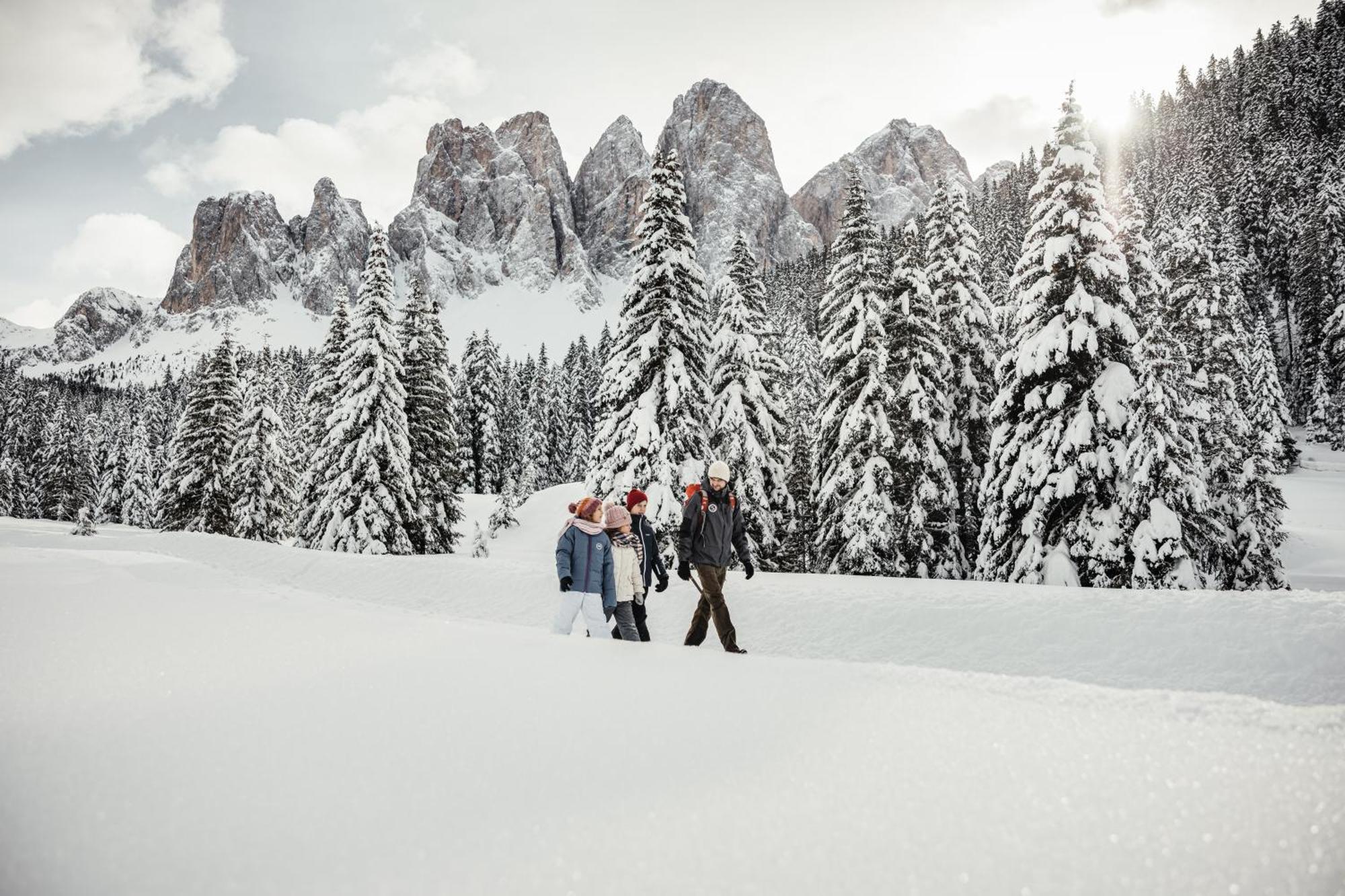 Апартаменти Ciasa Iachin - Dolomites Dream Retreat Сан-Мартіно-ін-Бадія Екстер'єр фото